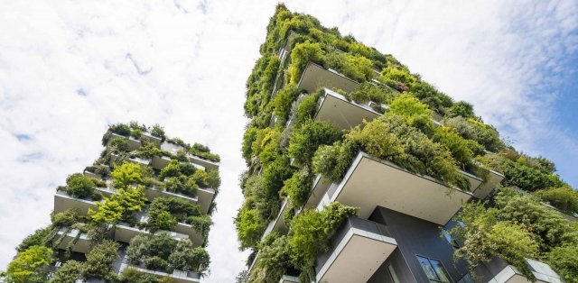 sol-forest-ecopark-co-gi-khien-bao-nguoi-phai-mo-uoc-2